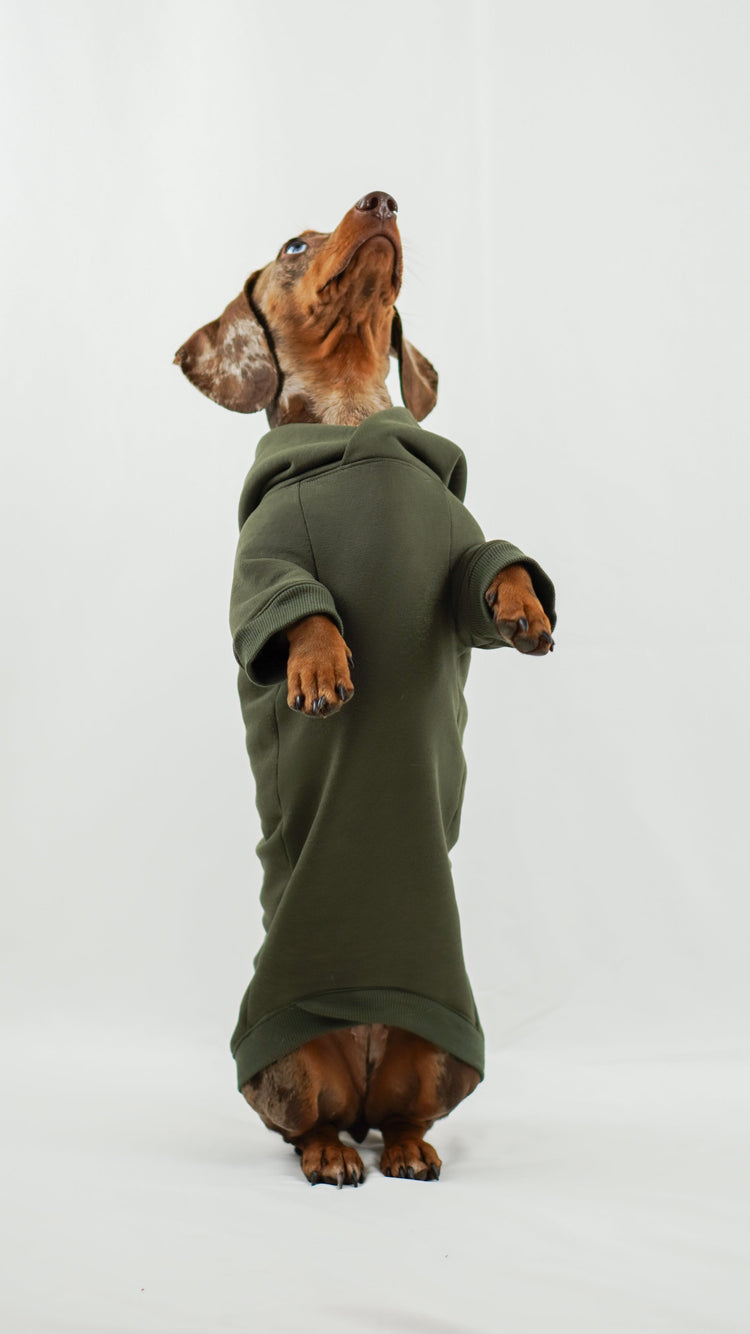 Dackel Hoodie