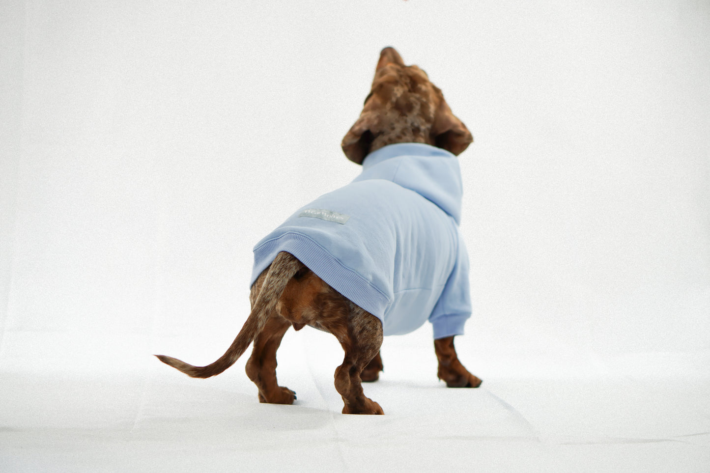 Handgemachter Dackelhoodie in hellblau