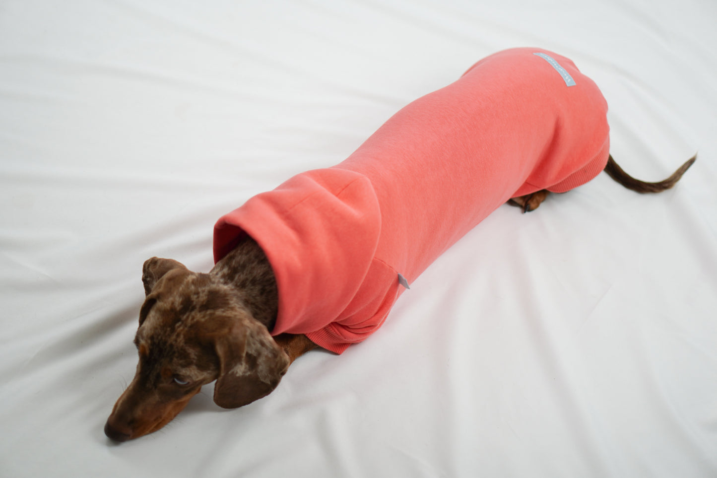 Handgemachter Dackelhoodie in korallenpink