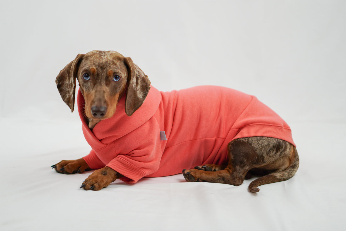 Handgemachter Dackelhoodie in korallenpink