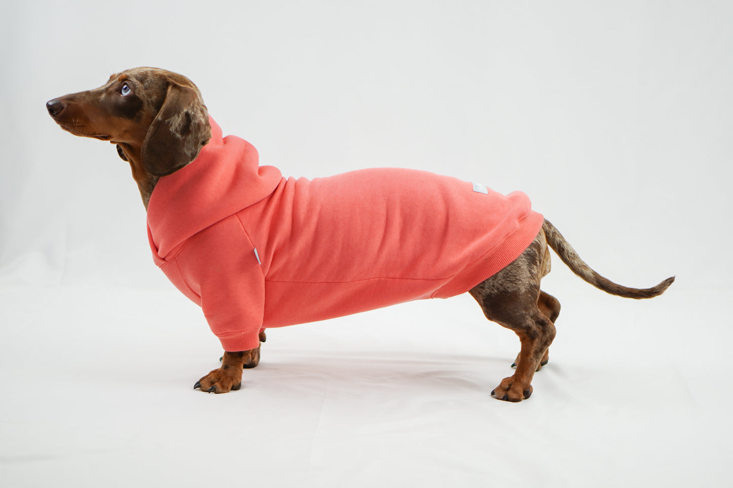 Handgemachter Dackelhoodie in korallenpink