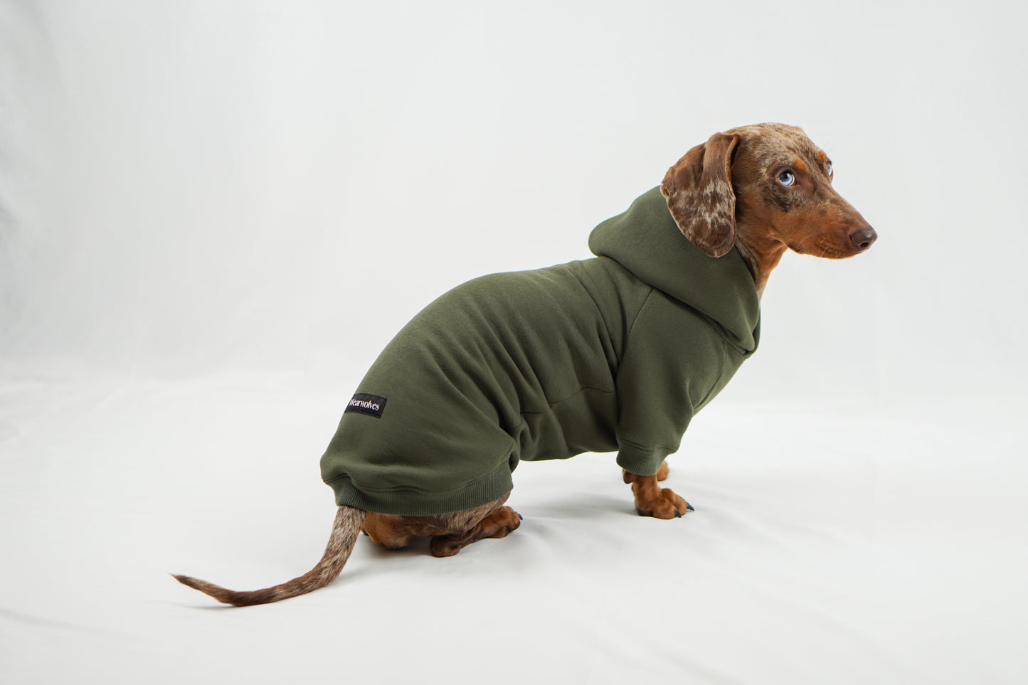 Handgemachter Dackelhoodie in olivgrün