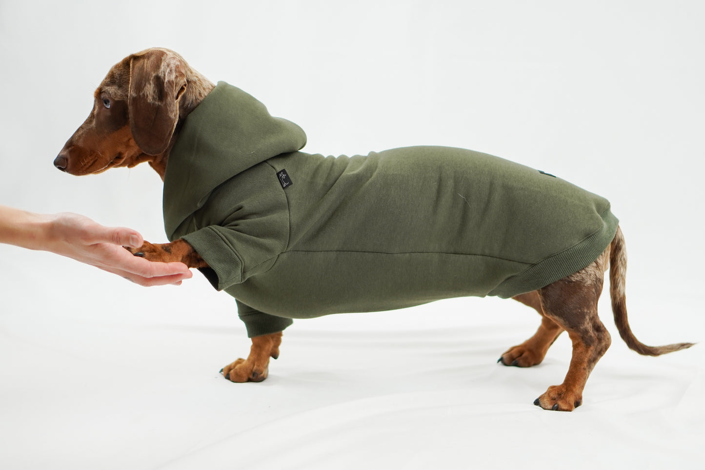Handgemachter Dackelhoodie in olivgrün