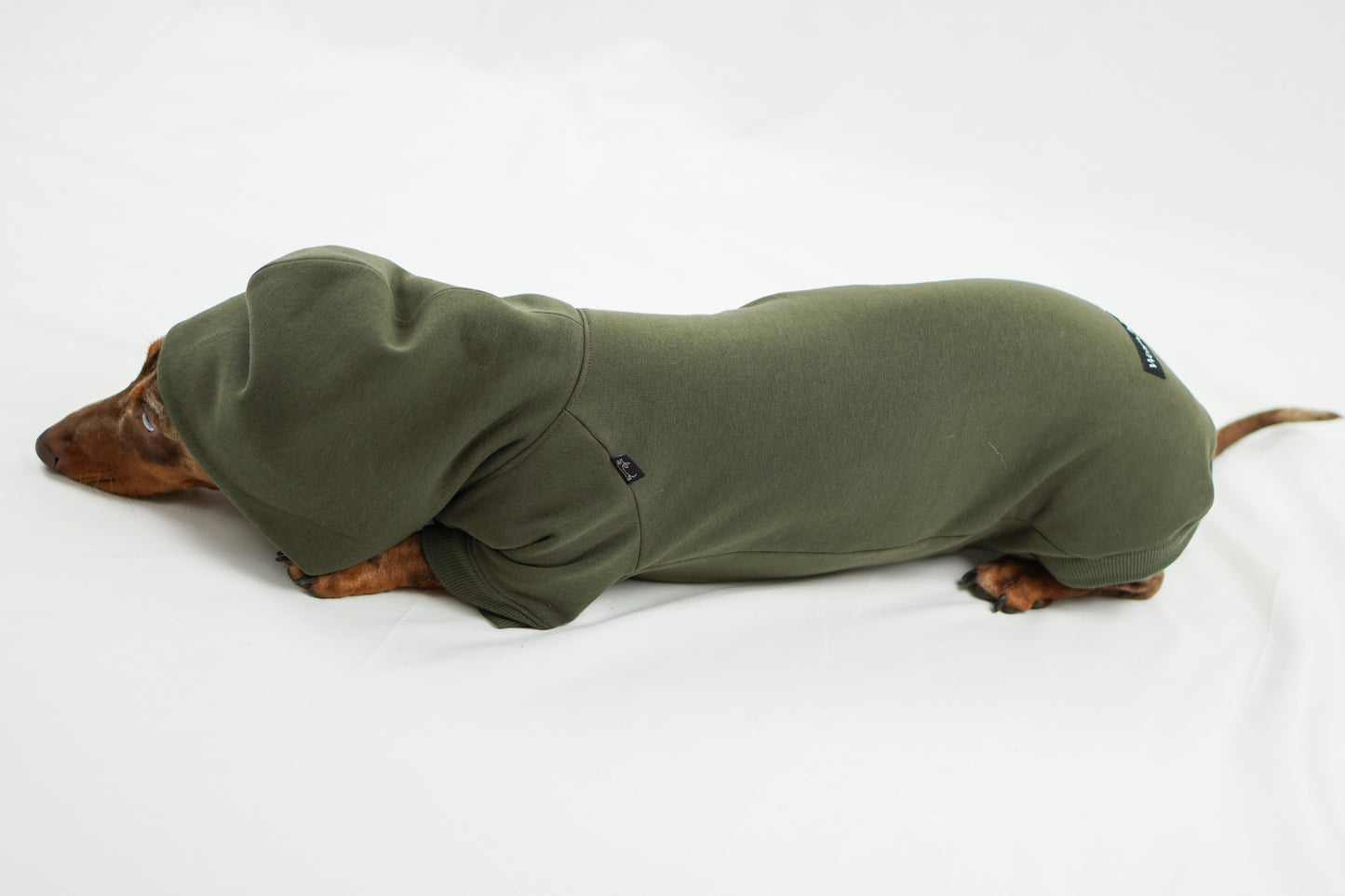 Handgemachter Dackelhoodie in olivgrün