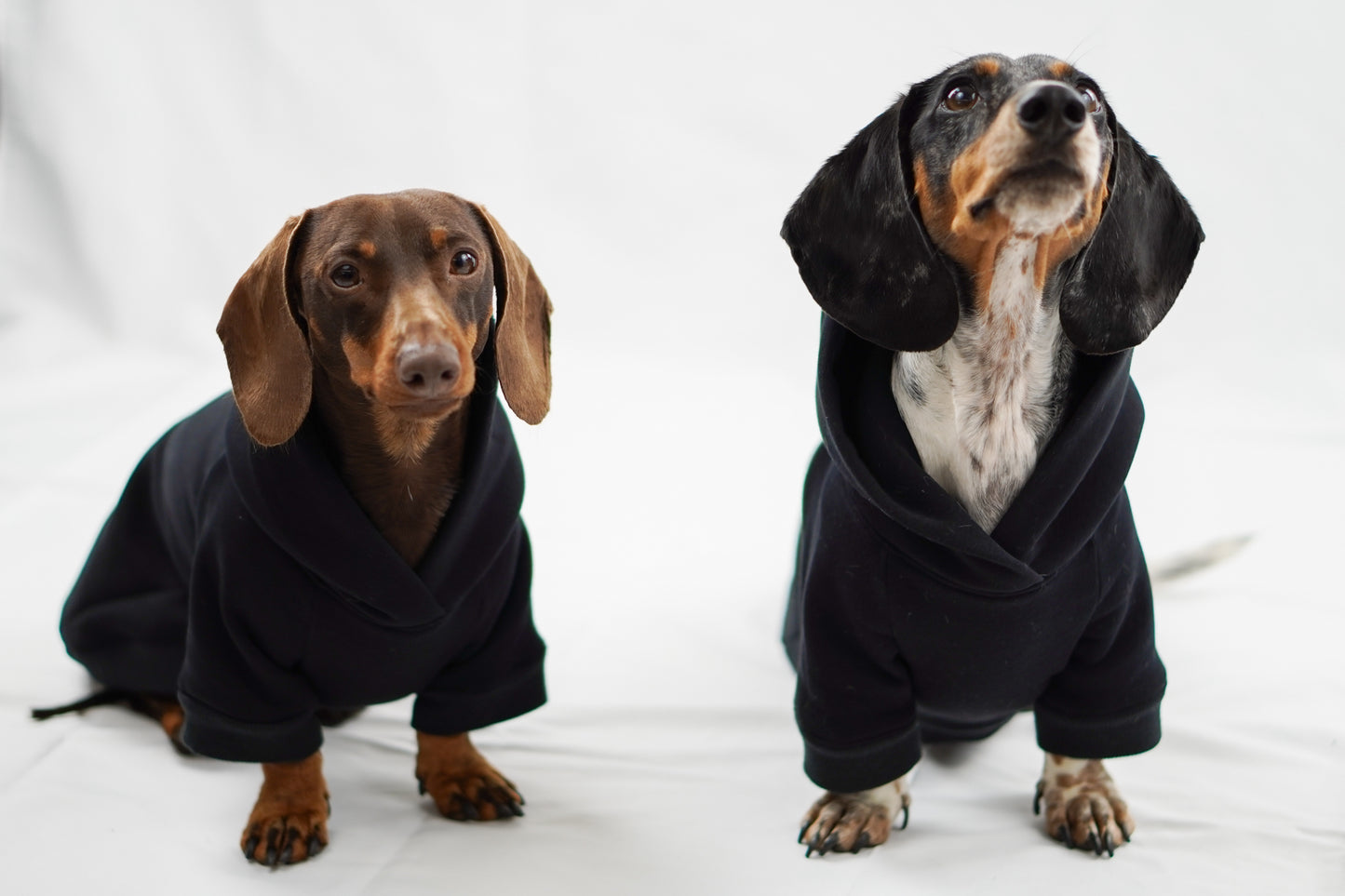 Handgemachter Dackelhoodie in schwarz