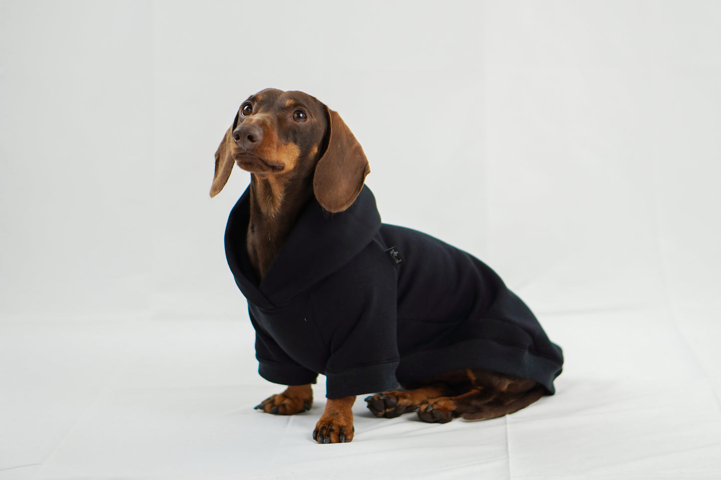 Handgemachter Dackelhoodie in schwarz