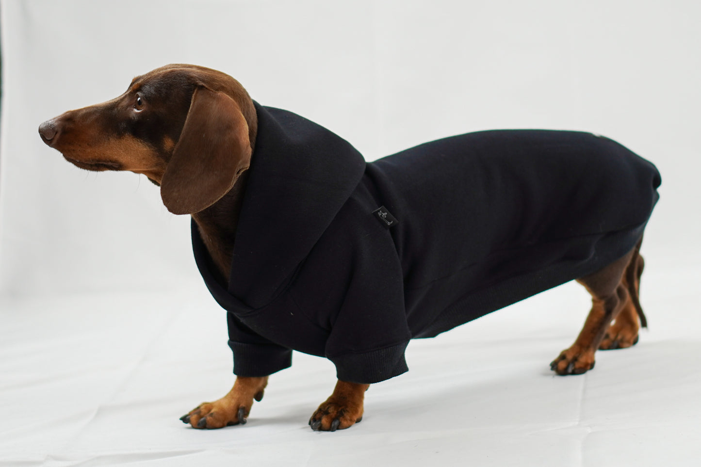 Handgemachter Dackelhoodie in schwarz