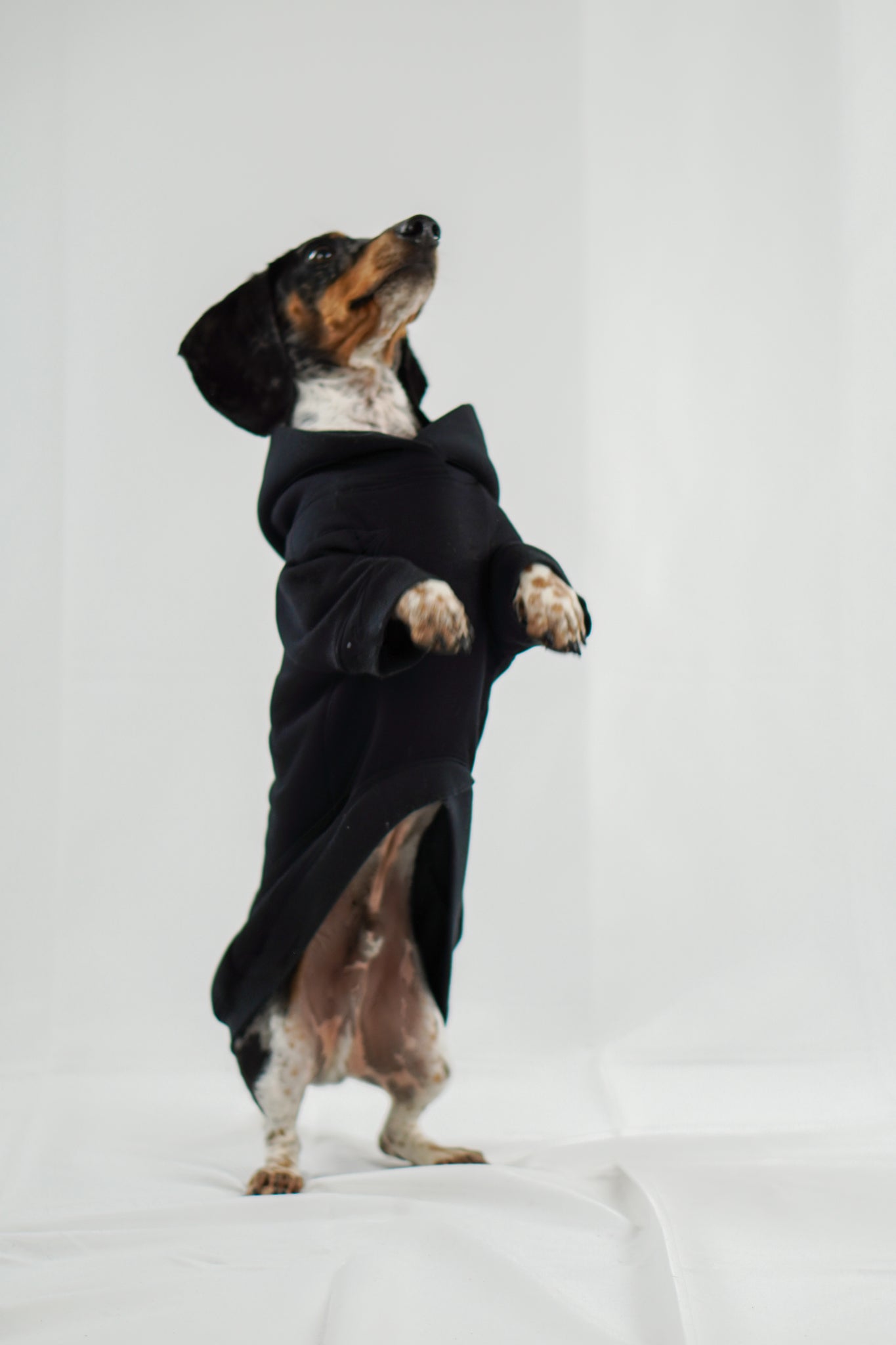 Handgemachter Dackelhoodie in schwarz