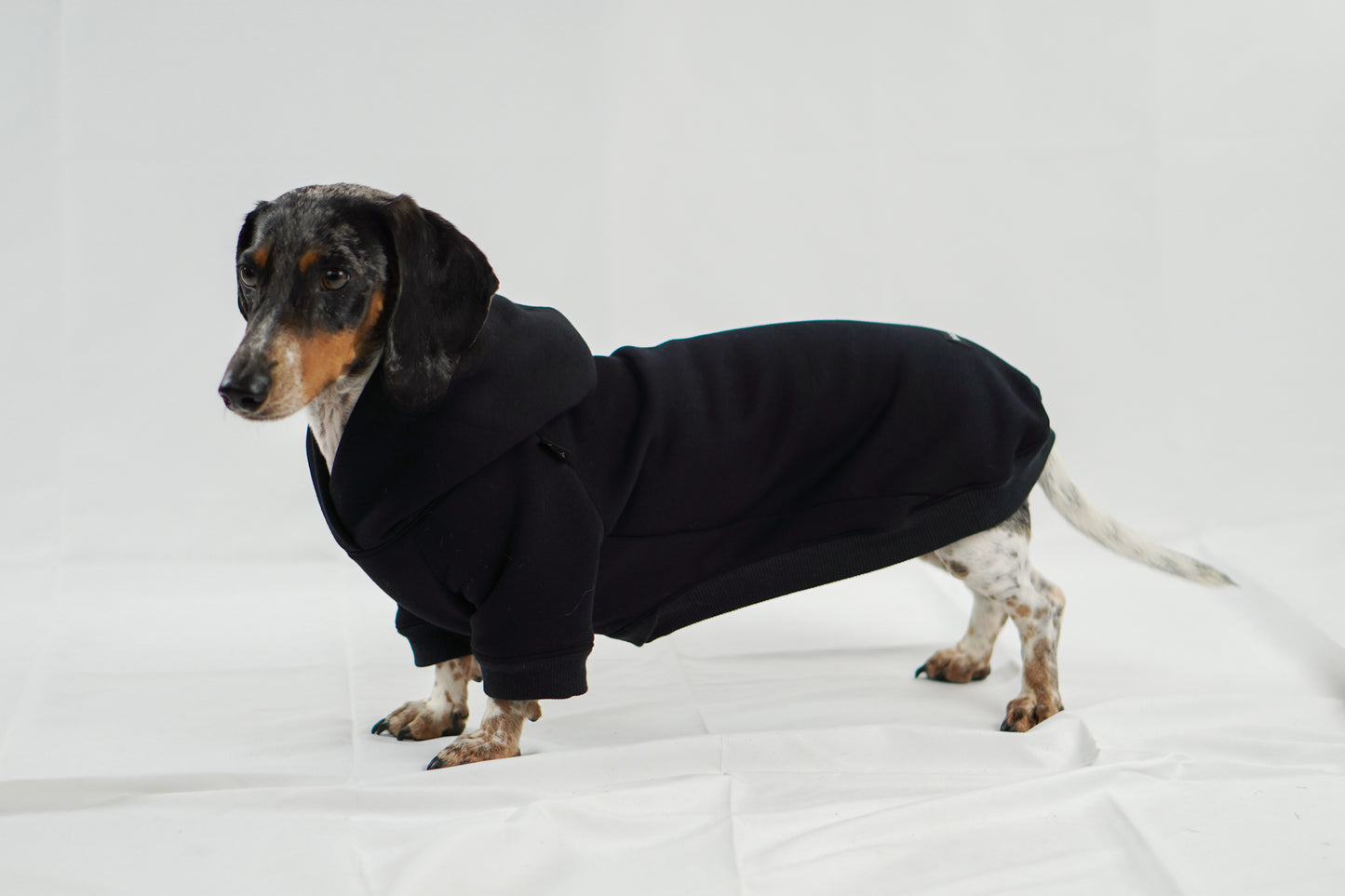 Handgemachter Dackelhoodie in schwarz