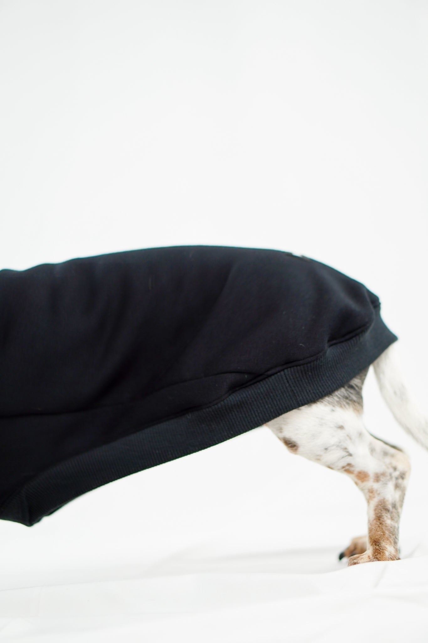 Handgemachter Dackelhoodie in schwarz