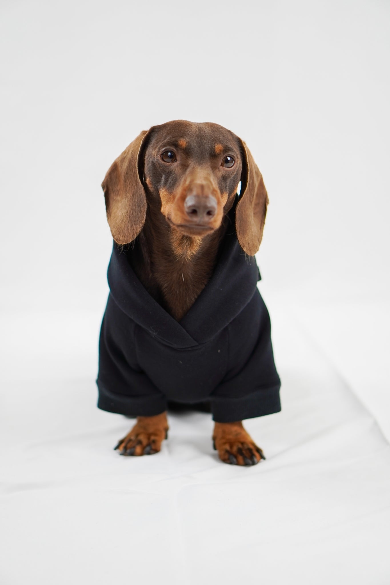 Handgemachter Dackelhoodie in schwarz