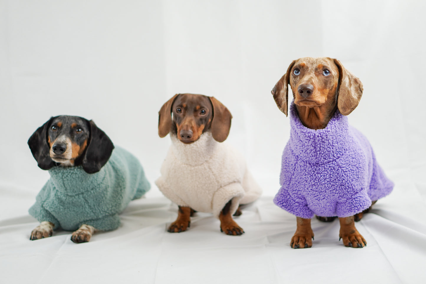 Handgemachter Dackelpullover aus Teddy Fleece