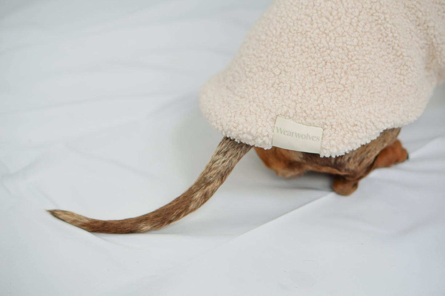 Handgemachter Dackelpullover aus Teddy Fleece in cremebeige
