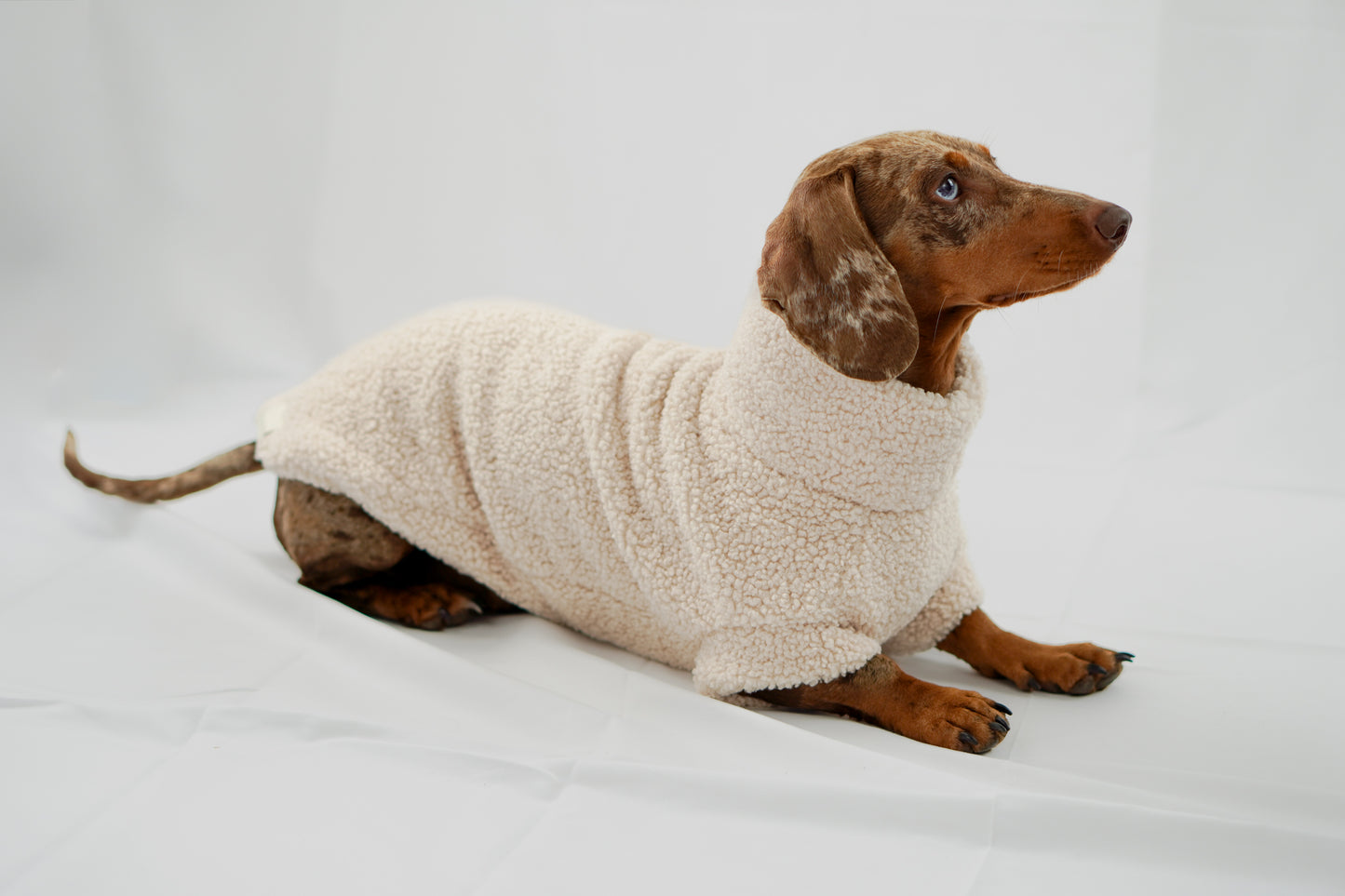 Handgemachter Dackelpullover aus Teddy Fleece in cremebeige