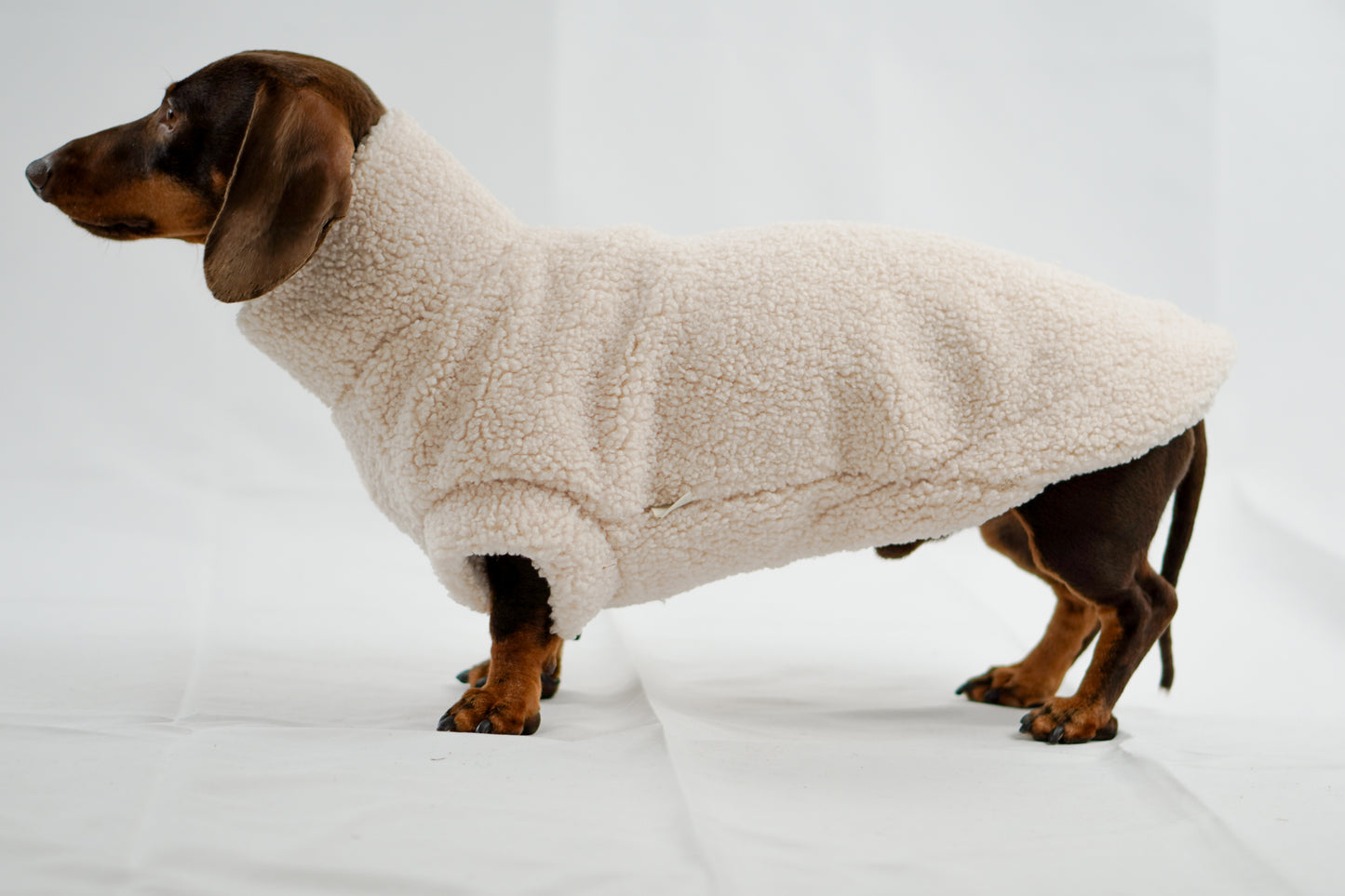 Handgemachter Dackelpullover aus Teddy Fleece in cremebeige