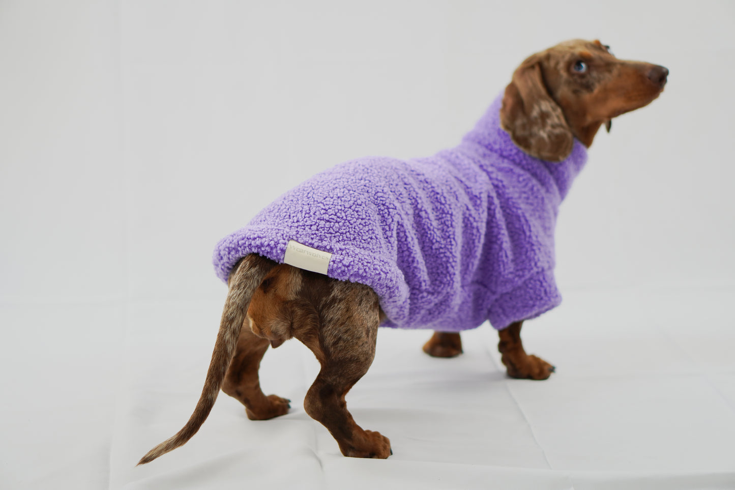 Handgemachter Dackelpullover aus Teddy Fleece in Flieder