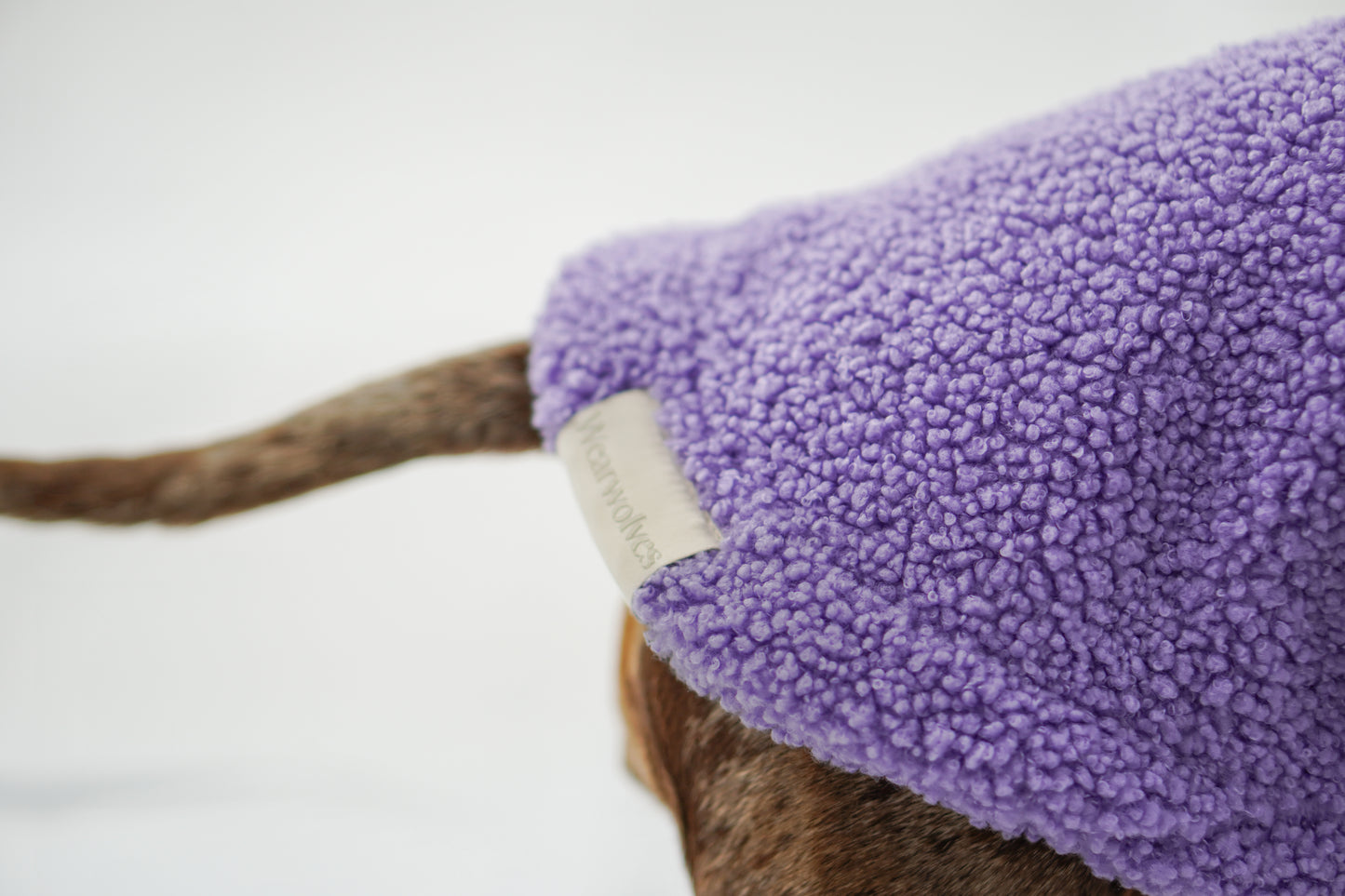 Handgemachter Dackelpullover aus Teddy Fleece in Flieder