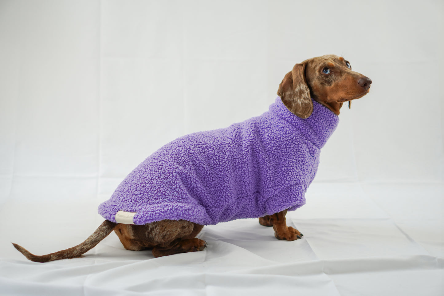 Handgemachter Dackelpullover aus Teddy Fleece in Flieder
