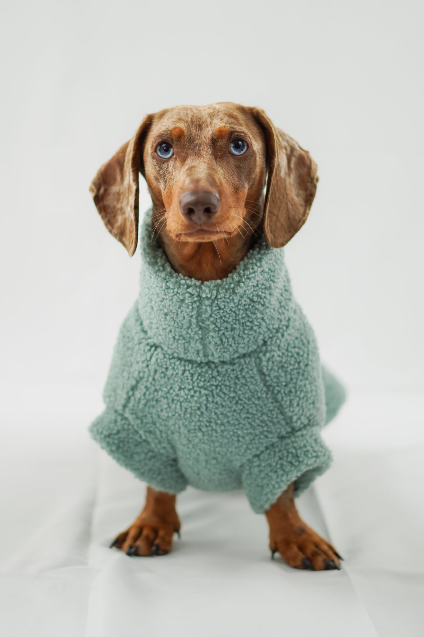 Handgemachter Dackelpullover aus Teddy Fleece in pistaziengrün