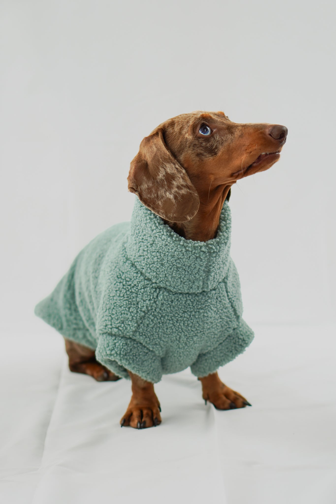 Handgemachter Dackelpullover aus Teddy Fleece in pistaziengrün
