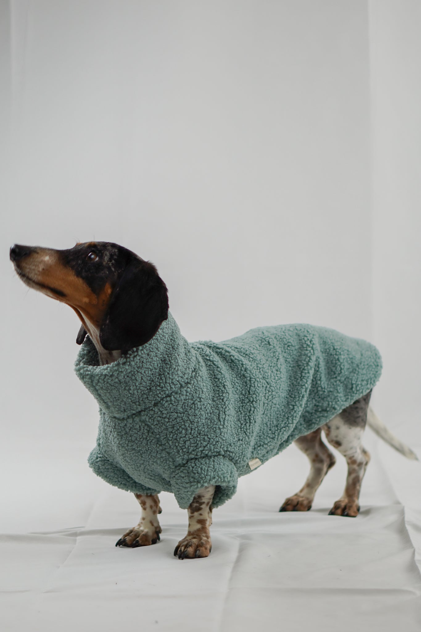 Handgemachter Dackelpullover aus Teddy Fleece in pistaziengrün