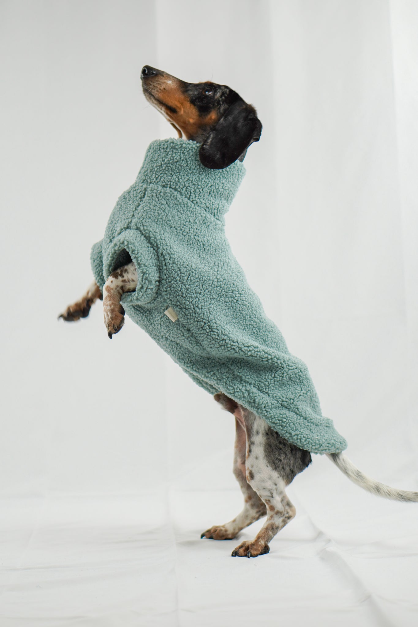 Handgemachter Dackelpullover aus Teddy Fleece in pistaziengrün