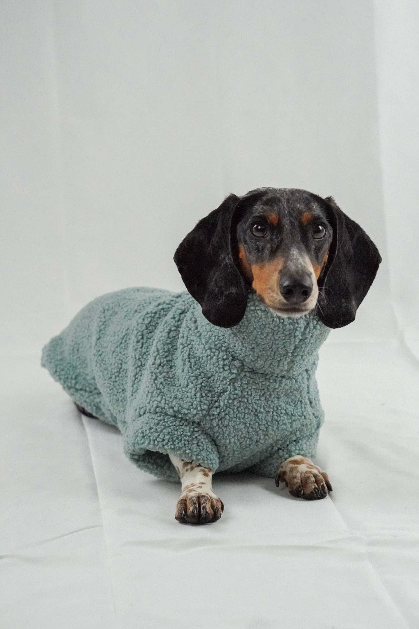 Handgemachter Dackelpullover aus Teddy Fleece in pistaziengrün