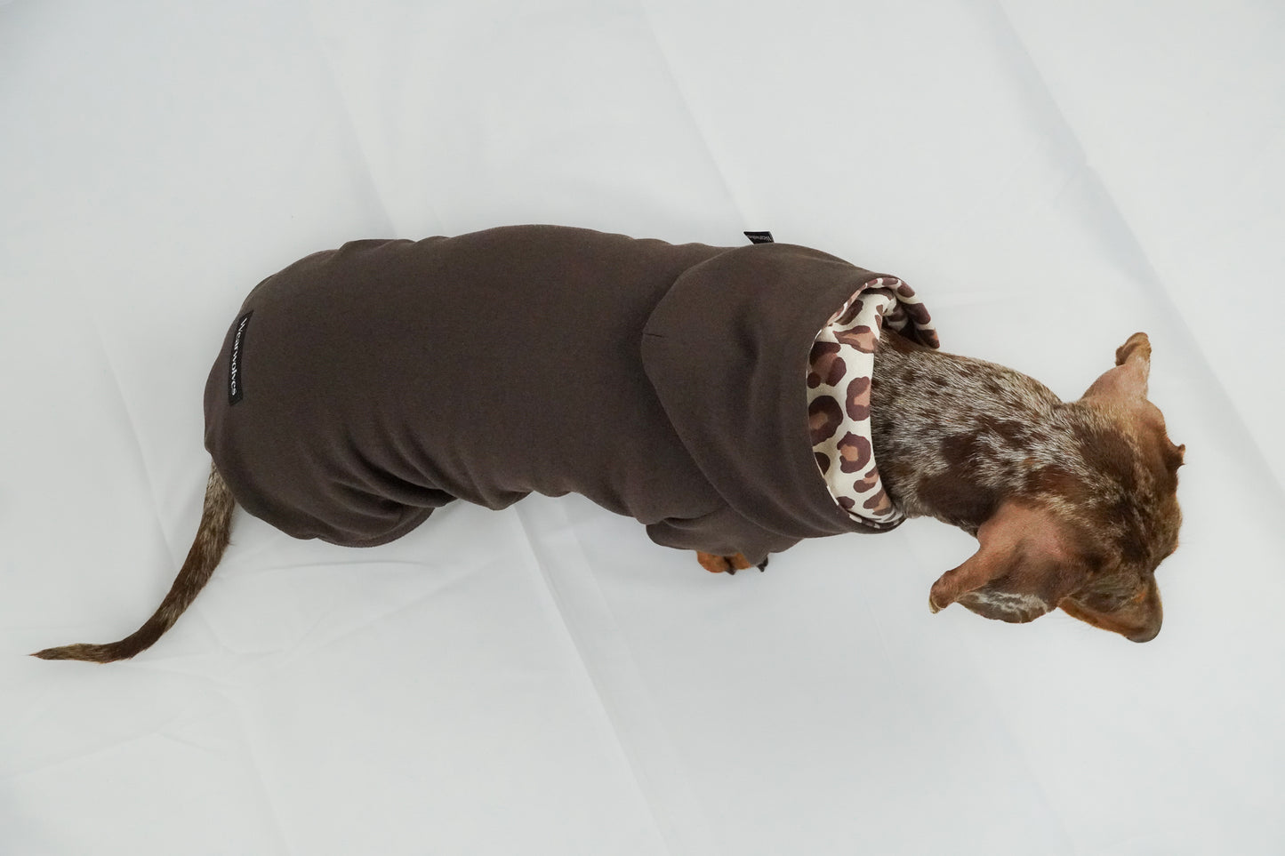 Dackel Hoodie Leo Braun