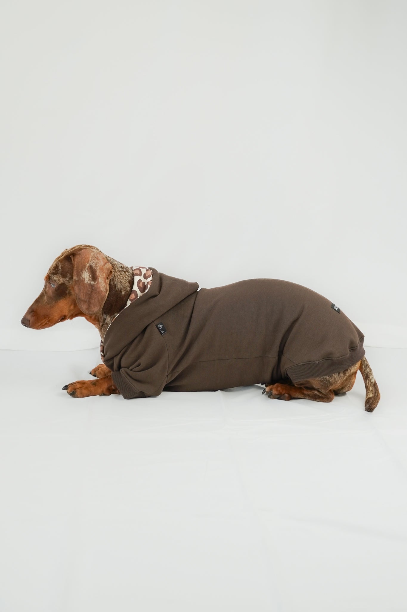 Dackel Hoodie Leo Braun