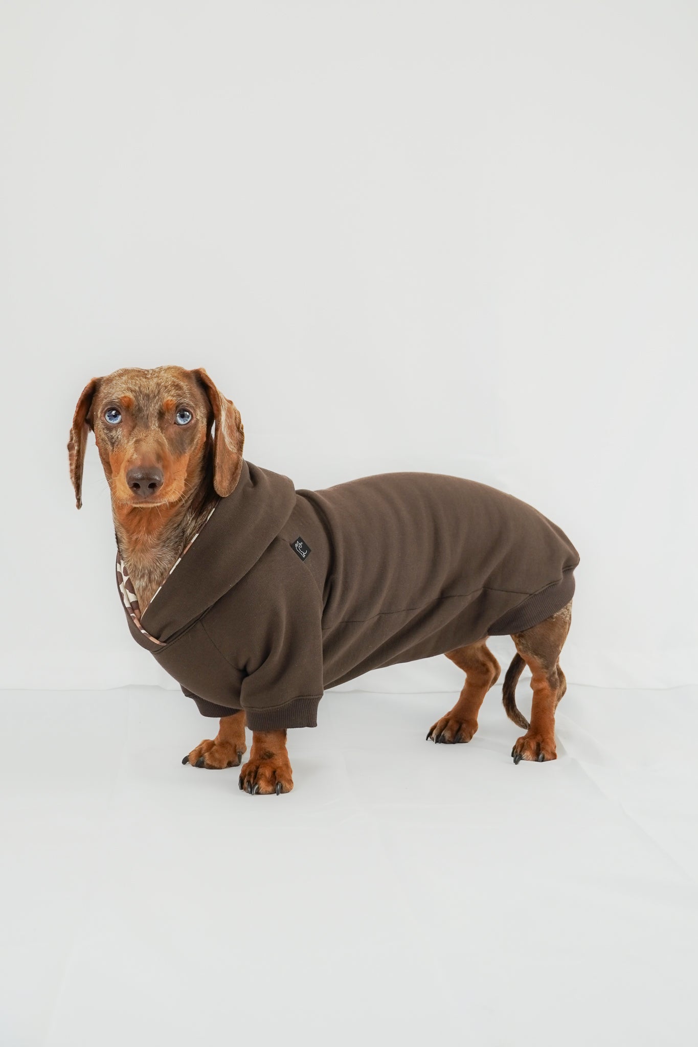 Dackel Hoodie Leo Braun