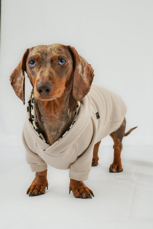 Dackel Hoodie Leo Beige