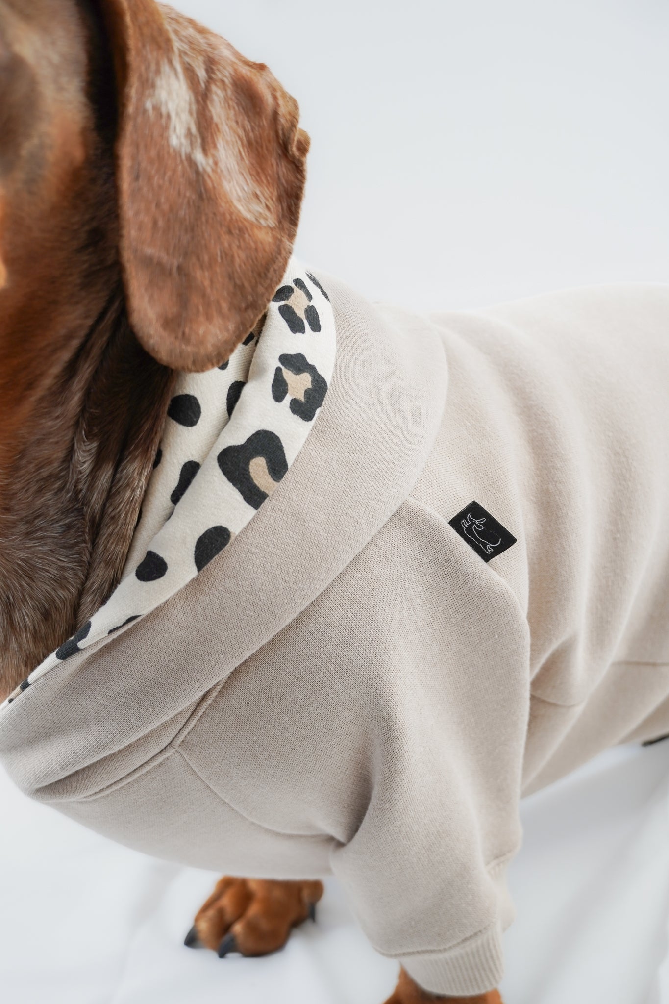 Dackel Hoodie Leo Beige