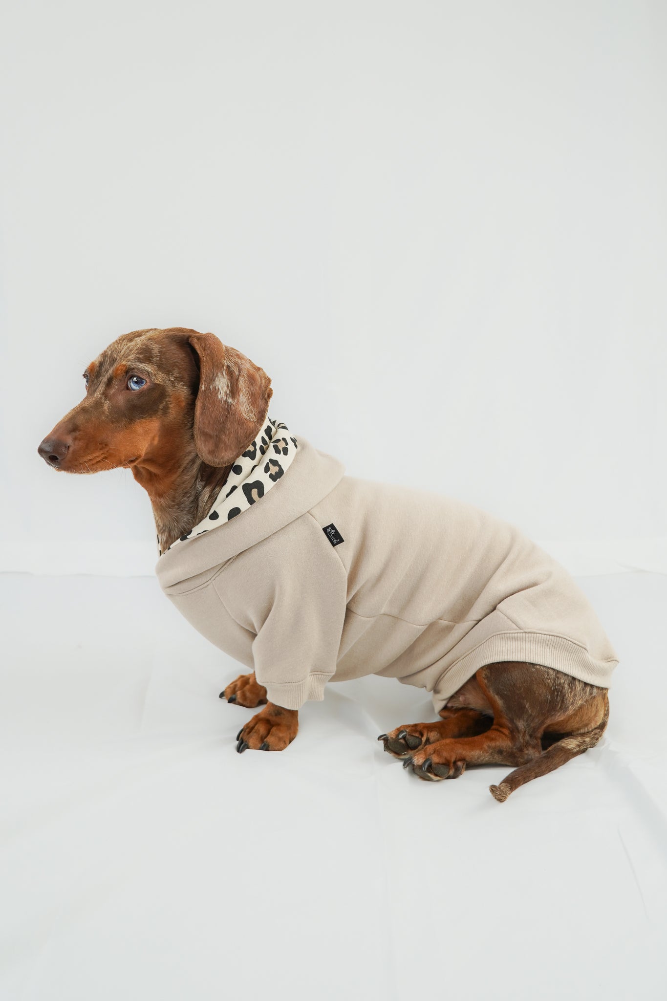 Dackel Hoodie Leo Beige