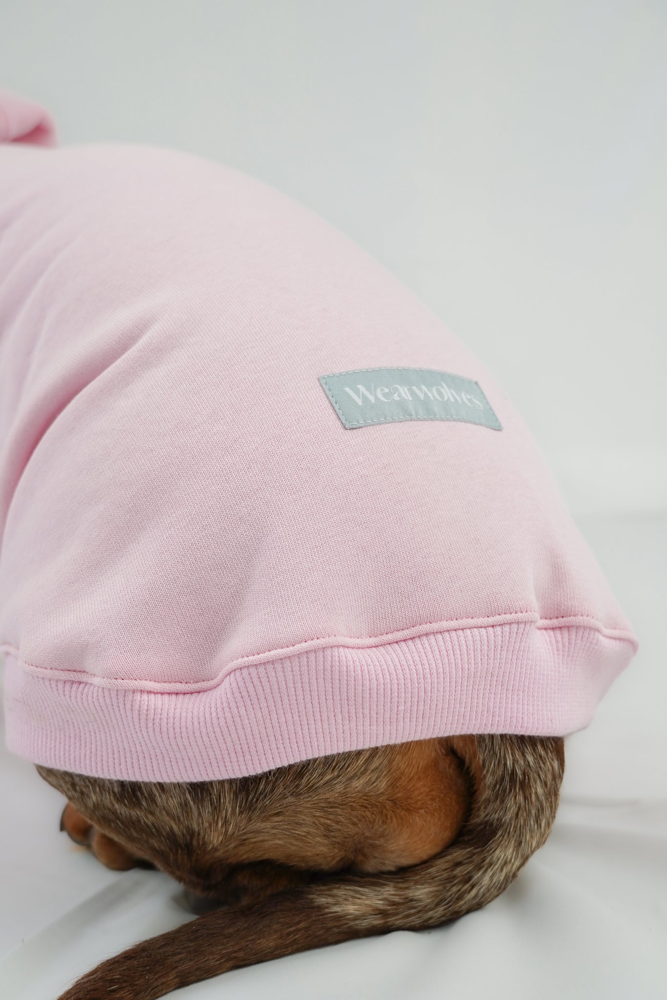 Dackel Hoodie Rosa Daisy