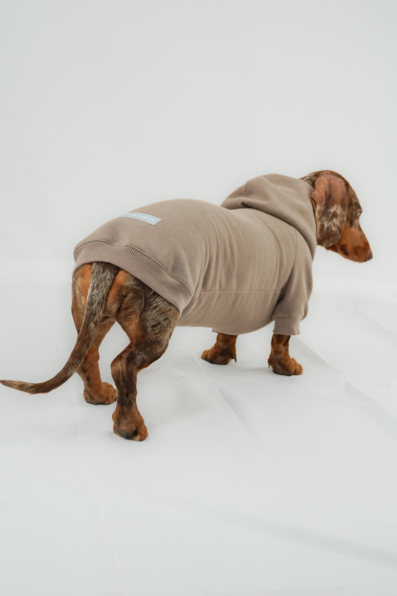 Dackel Hoodie Taupe