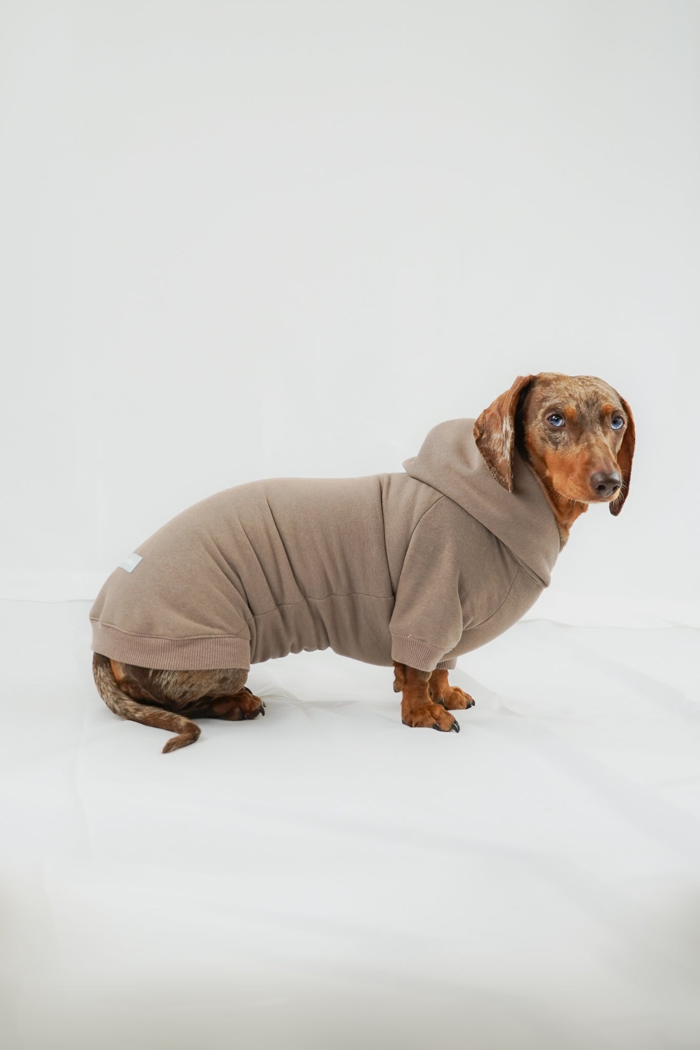 Dackel Hoodie Taupe