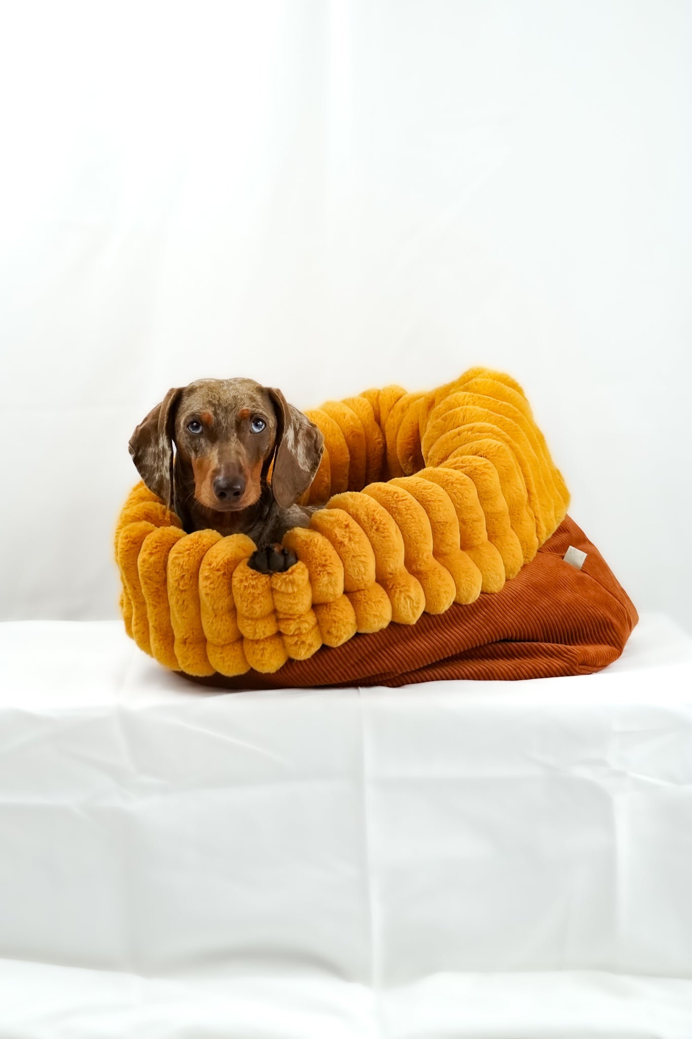 Kuschelsack Pumpkinspice