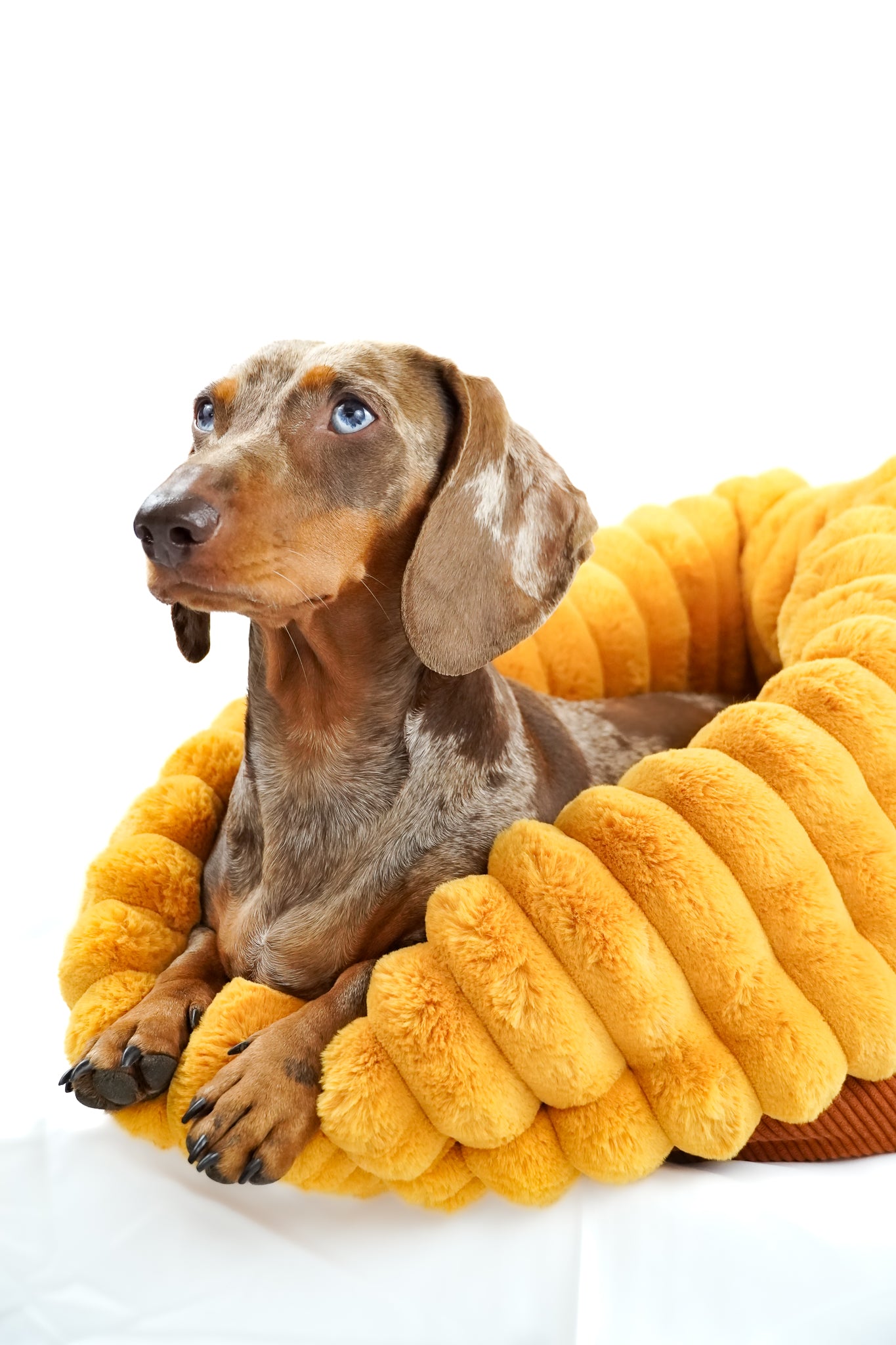 Kuschelsack Pumpkinspice