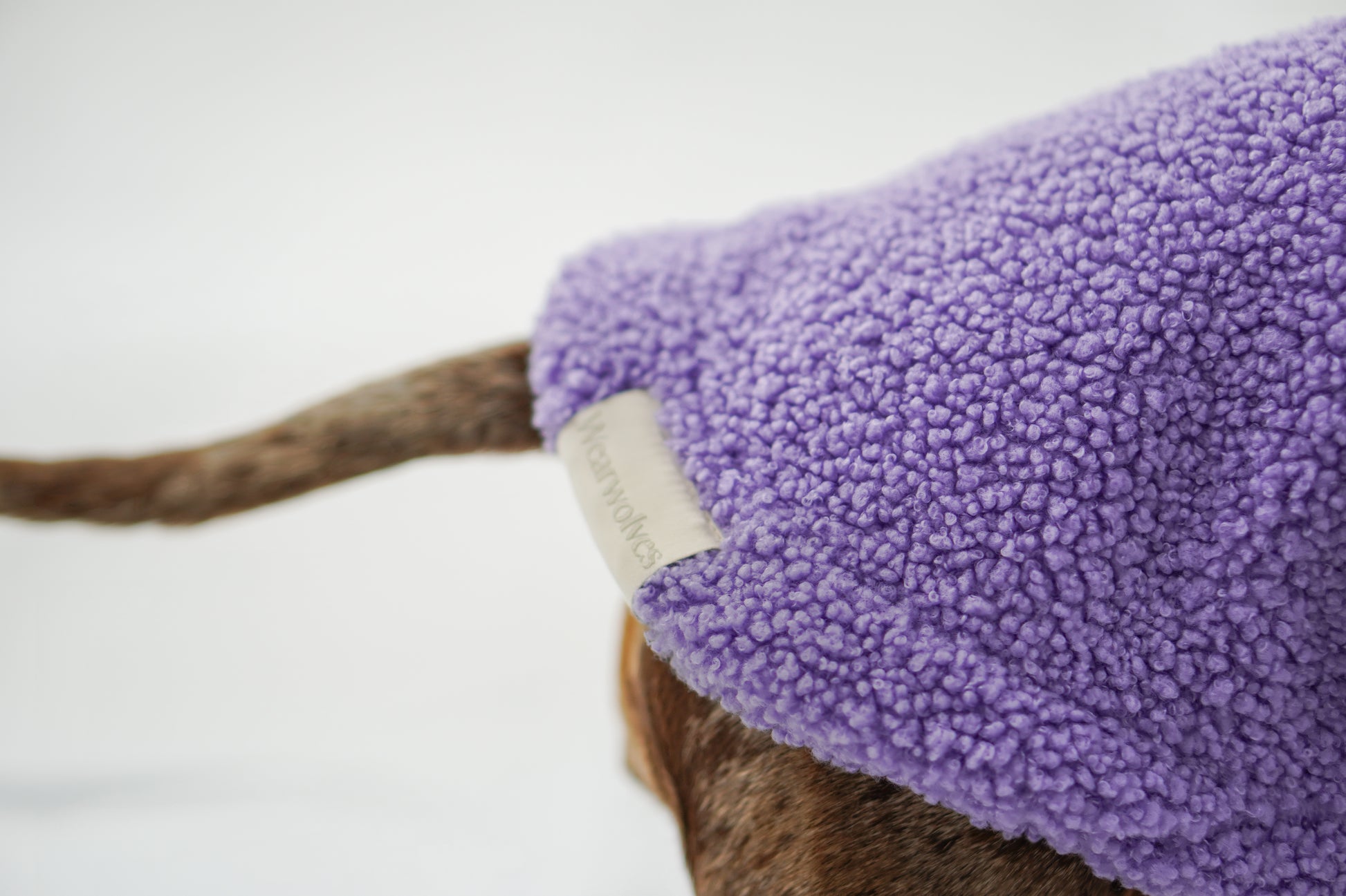 Handgemachter Dackelpullover aus Teddy Fleece in Flieder