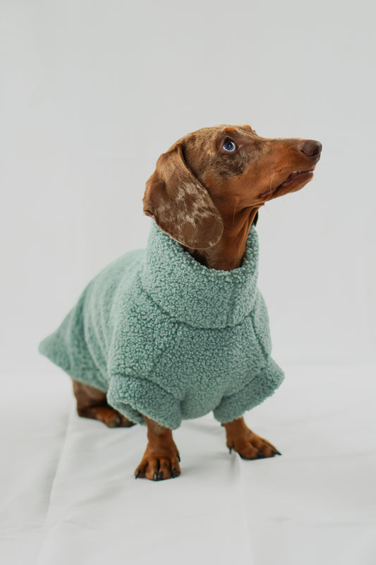 Handgemachter Dackelpullover aus Teddy Fleece in pistaziengrün